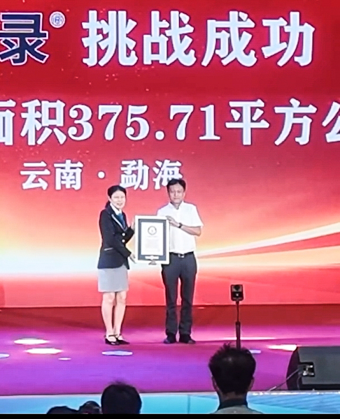 China Pecahkan Rekor Dunia Guinness untuk Perkebunan Teh Kuno Terbesar