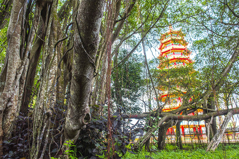 Legenda Pulau Kemaro sebagai Simbol Harmoni dan Budaya Tionghoa di Sumatera Selatan