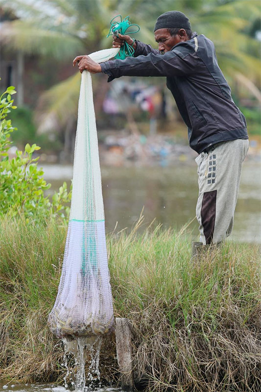 Menilik Tambak Udang di Lhokseumawe, Aceh