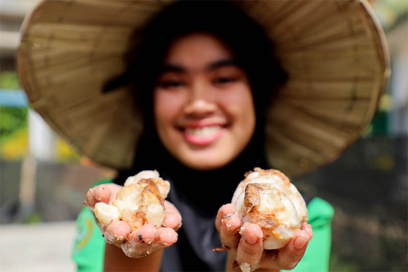 Menilik Proses Pengolahan Kakao di Tengah Penguatan Hilirisasi Komoditas Perkebunan di Indonesia