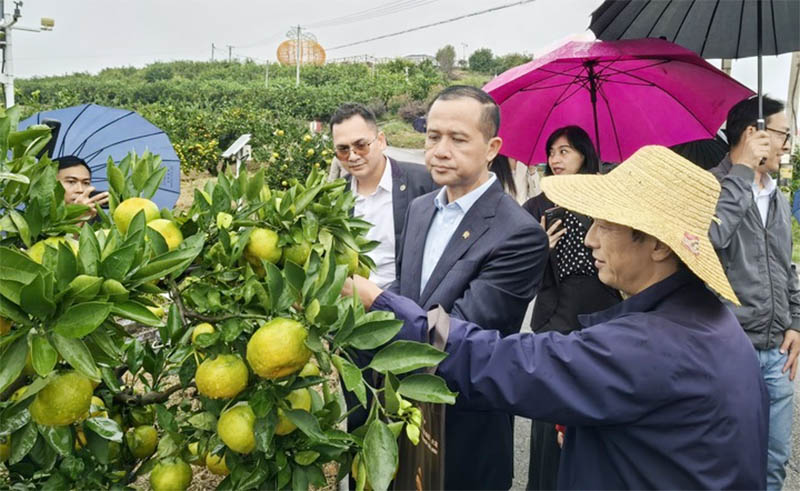 Menteri Transmigrasi RI: Pengalaman Proyek Tiga Ngarai China Patut Diteladani Indonesia