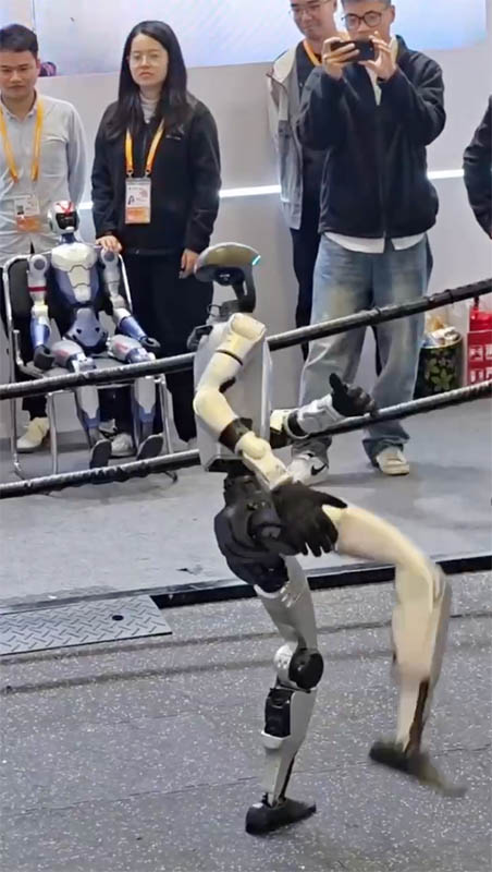 Robot Pukau Pengunjung dengan Tarian dan Jurus Bela Diri di Ajang CIIE Kedelapan Shanghai