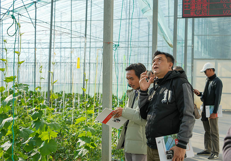 Sejumlah Kepala Desa Indonesia Pelajari Praktik Revitalisasi Pedesaan di Provinsi Shandong, China