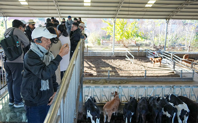 Sejumlah Kepala Desa Indonesia Pelajari Praktik Revitalisasi Pedesaan di Provinsi Shandong, China