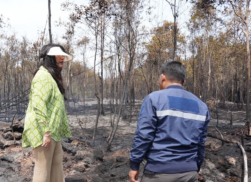 Tinjau Kebakaran Hutan, Ariastuty Imbau Masyarakat Waspadai Setiap Tindakan