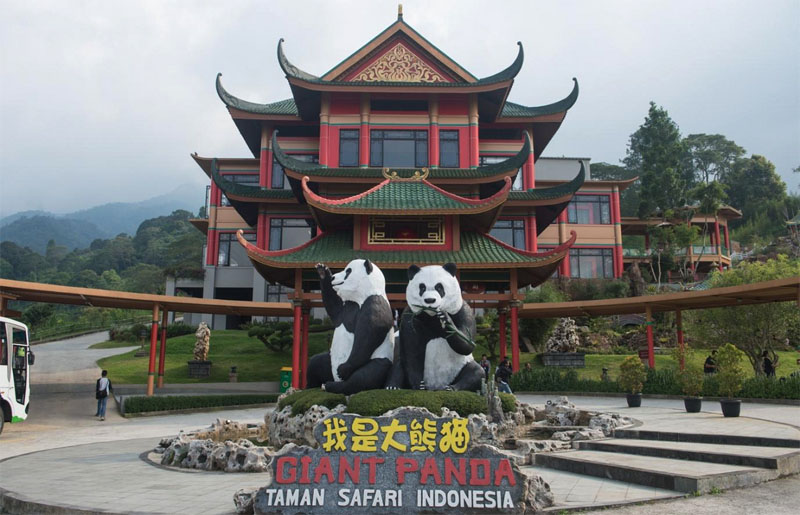 Bayi Panda Raksasa Rio Siap Diperkenalkan ke Publik Mulai Akhir Mei