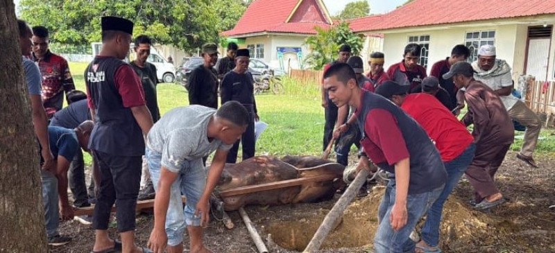 Suasana Hangat Idul Adha di Sembulang, Warga dan MEG Gotong Royong Gelar Kurban