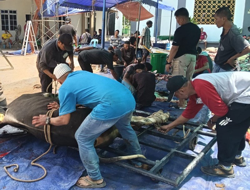 Semangat Berbagi di Idul Adha, Masjid Al Hikmah Tanjungpinang Salurkan Seribuan Paket Daging Kurban