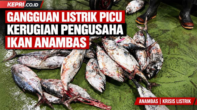 Gangguan Listrik Anambas Ancam Usaha Perikanan, HMNI Siapkan Audiensi dengan PLN