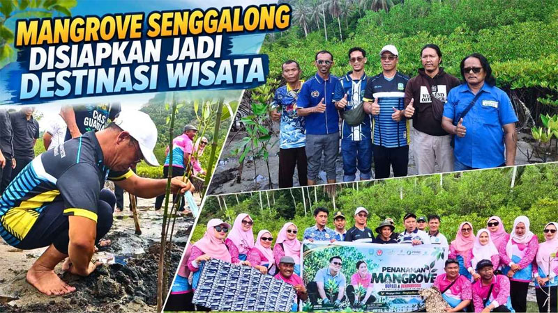 Bupati Aneng Dorong Mangrove Senggalong jadi Penyangga Pesisir dan Potensi Wisata